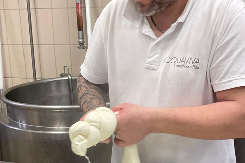 Pisa: Kaas maken en proeven met een kleine groep