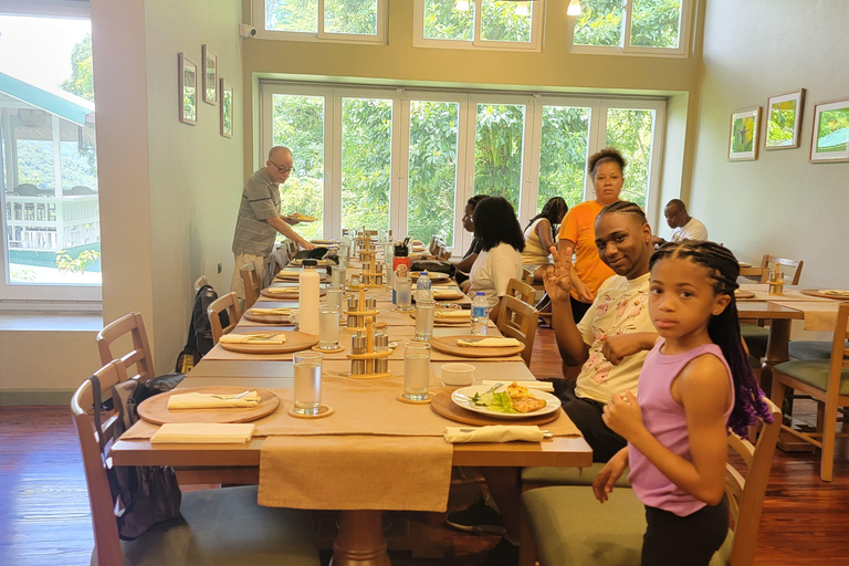 Trinidad: Experiencia en el Santuario de Aves del Centro Natural Asa Wright