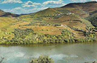 Porto: Douro-Tal: Ein authentisches Weinerlebnis mit Mittagessen