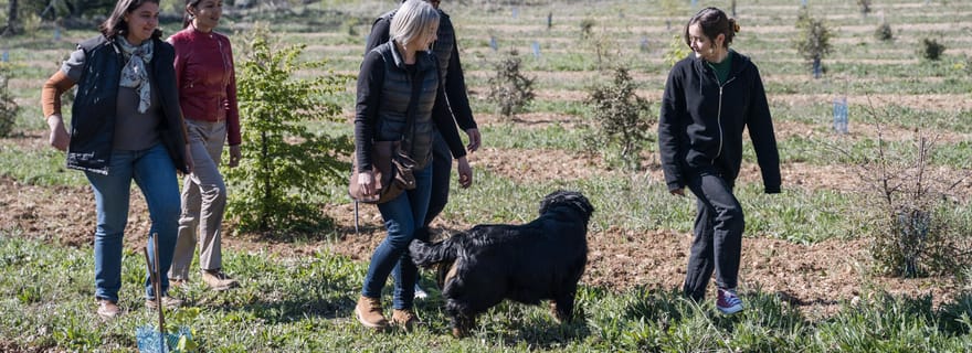 Sur place : Visite d'une truffière, atelier culinaire, repas