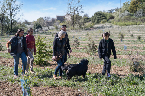 Descubra as trufas da fazenda até o garfoDescubra o mundo secreto das trufas