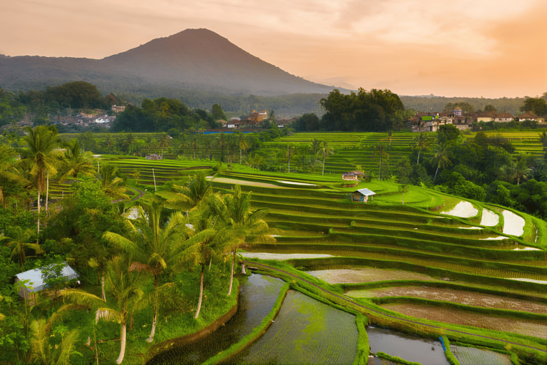 Bali : UNESCO World Heritage Private Tour