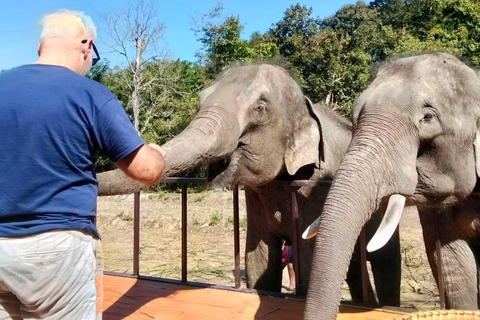 Chiang Mai : Visite de deux jours du sanctuaire du Temple des éléphants