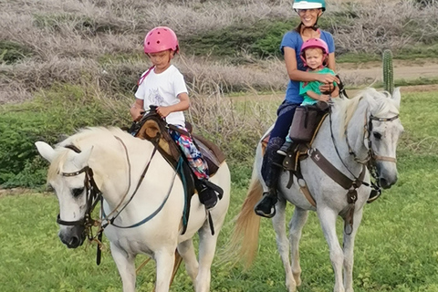 Excursion à cheval à Aruba vers le lagon caché