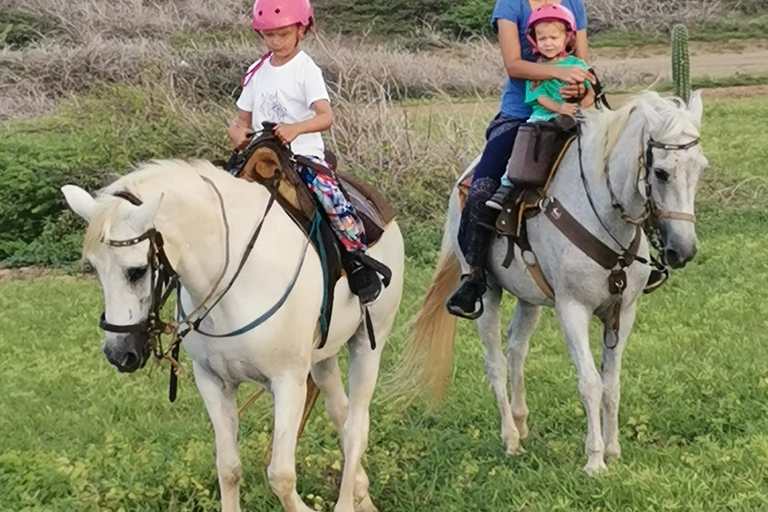 Aruba Reiten Tour zur versteckten Lagune