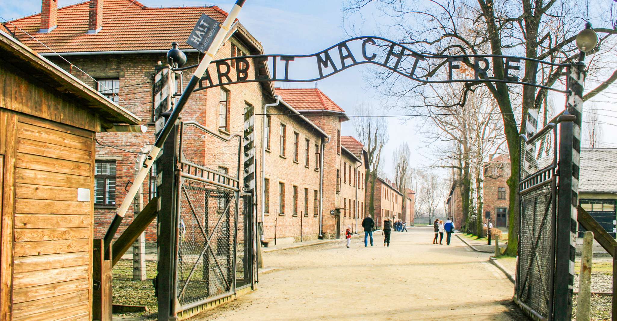 Krakow, Full-Day Auschwitz-Birkenau & Salt Mine Guided Tour - Housity