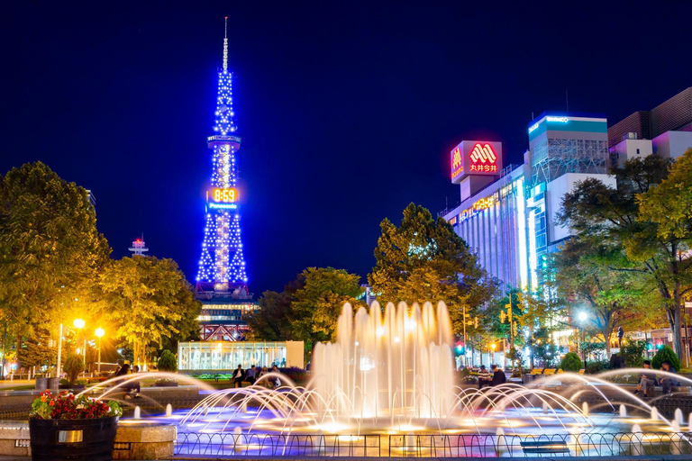 Sapporo: Illuminated Landmarks and TV Tower Night View Tour