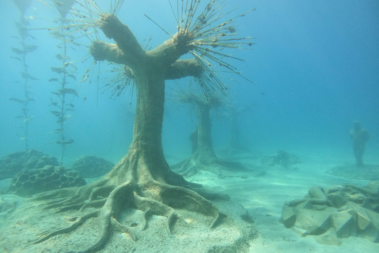 Ayia Napa: MUSAN Dives For Beginners - 2 persons - 2 Dives