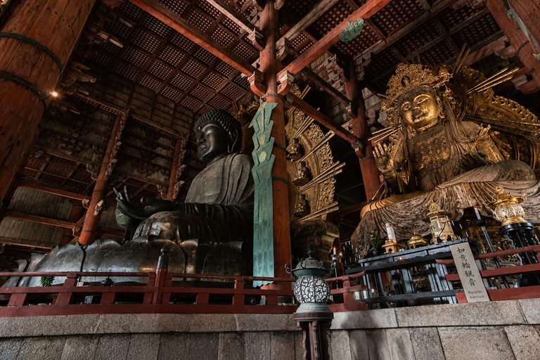 Nara: Deer Park, Todaiji Temple, & Great Buddha Walking Tour Private Tour