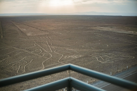 Nazca: Maria Reiche Museum och Nazca Lines Viewpoint Tour