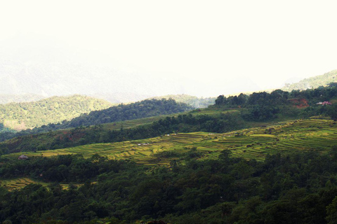 Från HaNoi: Pu Luong 2 dagars resa till vacker natur.