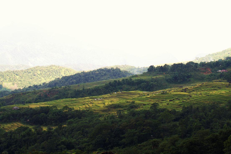 Från HaNoi: Pu Luong 2 dagars resa till vacker natur.