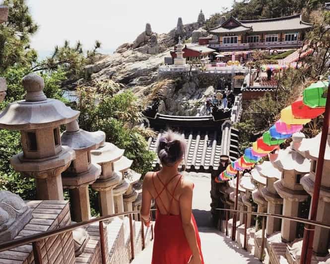 Busan: Full-Day Tour Unmissable Things To Do in Busan