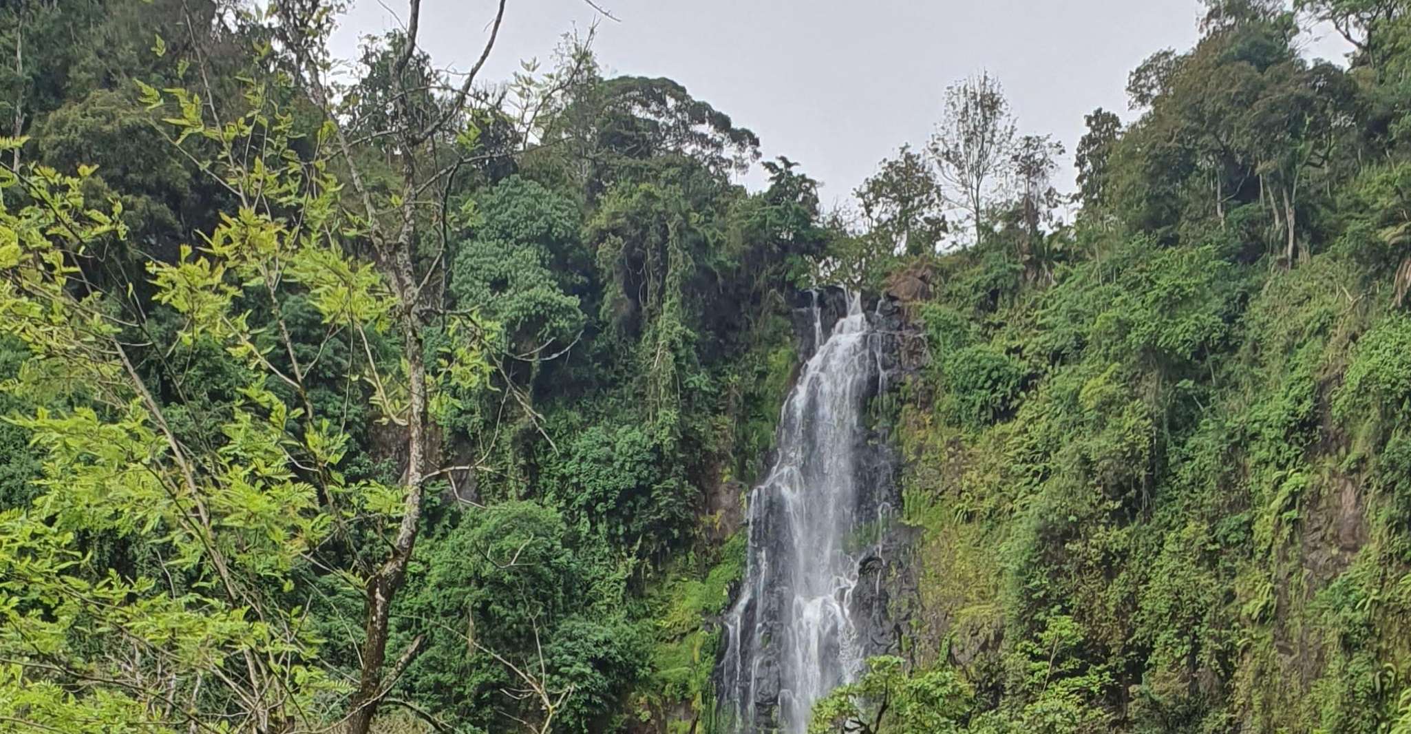 Moshi Materuni Waterfalls, Chemka Hot Springs, & Coffee Tour - Housity