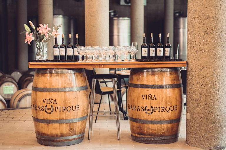 Viña Haras de Pirque Wine Experience
