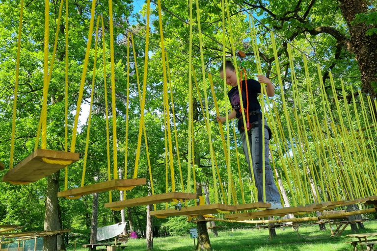 Combreux: tree climbing park