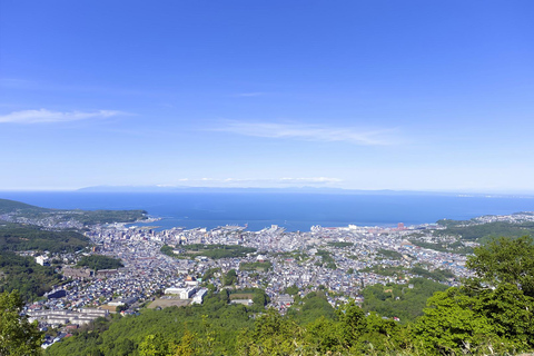 Hokkaido Cherry Blossom Limited:Cape Kamui&Temiya Day Tour Depart from the North Exit of JR Sapporo Station