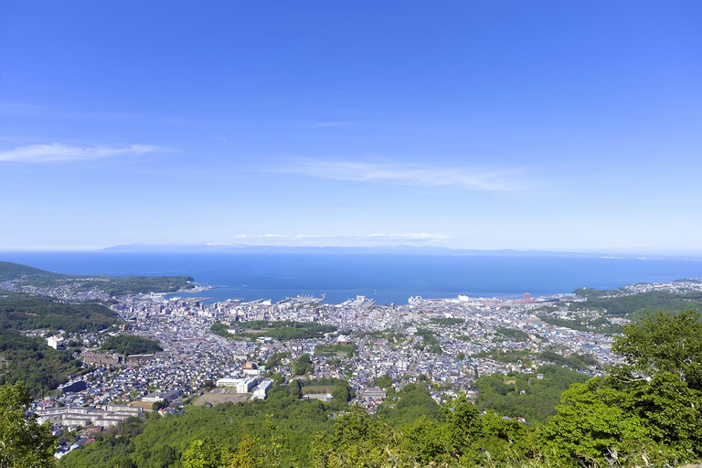 Hokkaido Cherry Blossom Limited:Cape Kamui&Temiya Day Tour Depart from the North Exit of JR Sapporo Station