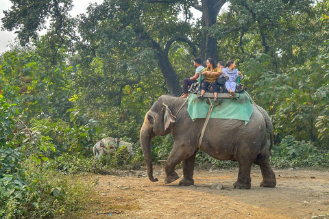 Bangalore to Jim Corbett: 2-Day Safari Adventure via Delhi All-Inclusive tour