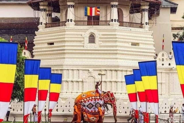 Kandy: Temple of Tooth, Train Ride, & Cave Waterfall Tour