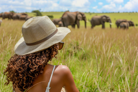 Rwanda adventure circuit: safari, canopy/zipline, kivu kayak