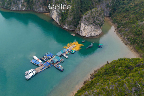 Experience Celina Cruise - the Best & Largest in Lan Ha Bay