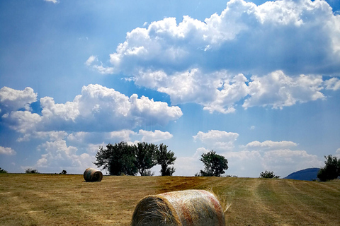 Western Serbia 4 days tour: Uvac canyon, Tara NP & Zlatibor
