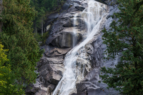 Limited Small Group Tour: Shannon Falls & Sea to Sky Gondola