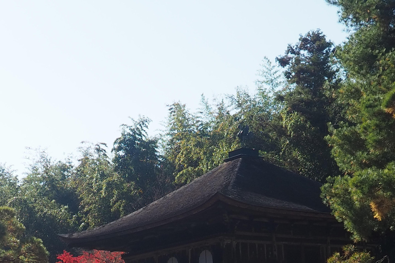 E-Bike Tour in Kyoto with Asuka, Japanese graduate student