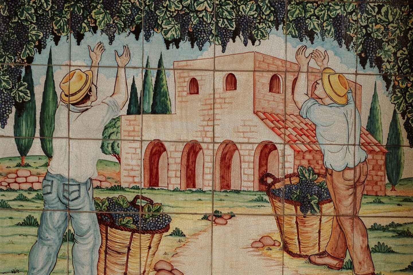 Balade dans les Vignes : Histoire et Dégustation à Alcamo