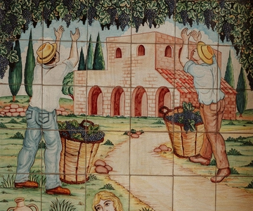 Olive grove walk and Tasting