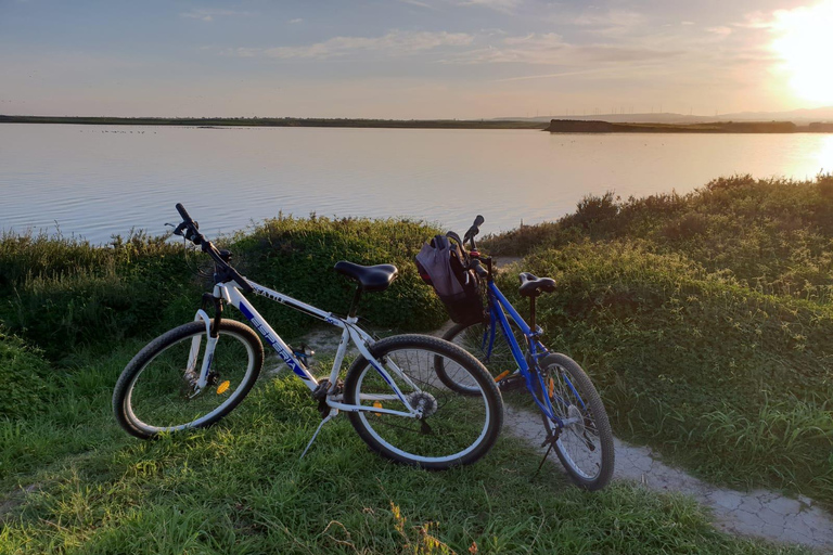Larnaca: Salt Lake & Cultural Highlights Guided Bike Tour