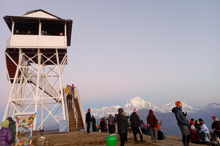 Ghorepani: Wanderung auf dem Poon HillStandard-Option