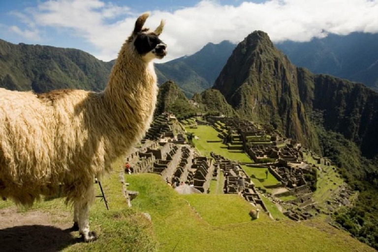 From Cusco: Low cost Machu Picchu Day Tour Train Expedition to Machu Picchu