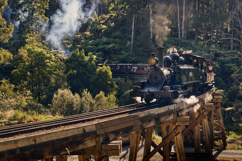 Puffing Billy Steam Train, Cherry Picking and Chocolate Tour