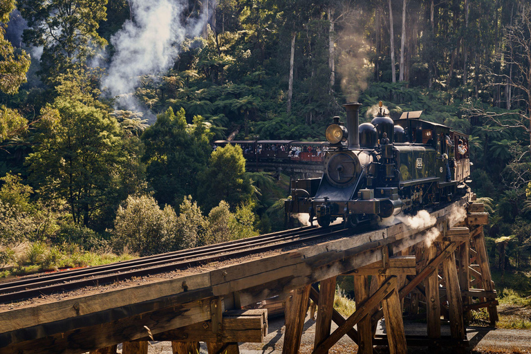 Puffing Billy Steam Train, Cherry Picking and Chocolate Tour