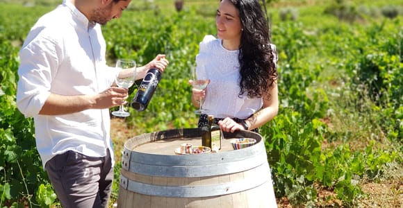 Alpujarra of Almería: Organic Wine tour and local aperitif