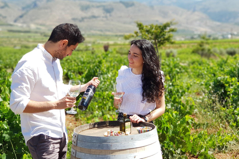 Alpujarra : visite des vignobles et apéritif local dans une cave biologique