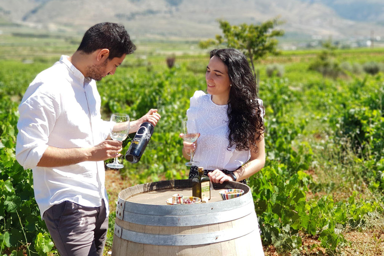 Alpujarra: Ruta del vino y aperitivo local en Bodega Ecológica