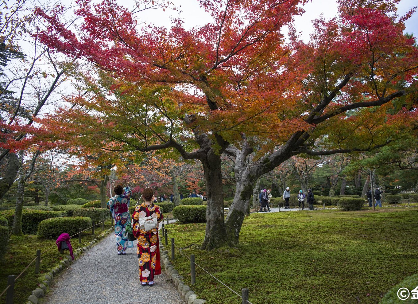 Guidet E-Bike og byvandring i KANAZAWA Main & KENROKUEN