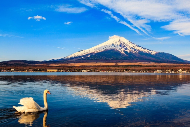 Wycieczka 1-dniowa: Góra Fuji + okolice jeziora Kawaguchi