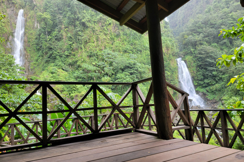 Roseau: Rainforest tour of Trafalgar Waterfalls & Geysers.