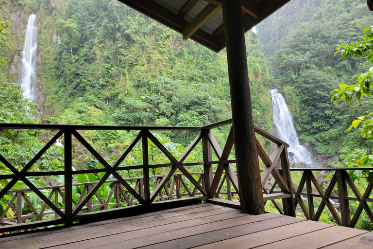 Roseau: Rainforest tour of Trafalgar Waterfalls & Geysers.