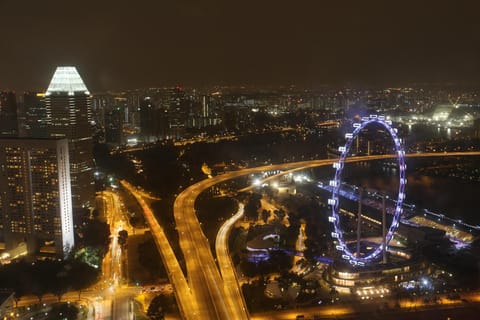 Singapore: Flower Dome+Cloud Forest+Flyer Guide Tour/Tickets - Image 2