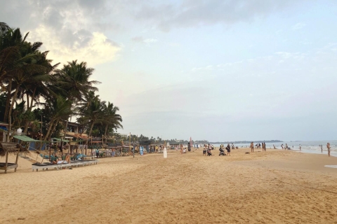 Z Kolombo: Jednodniowa wycieczka do Bentoty i wycieczka na plażę Hikkaduwa