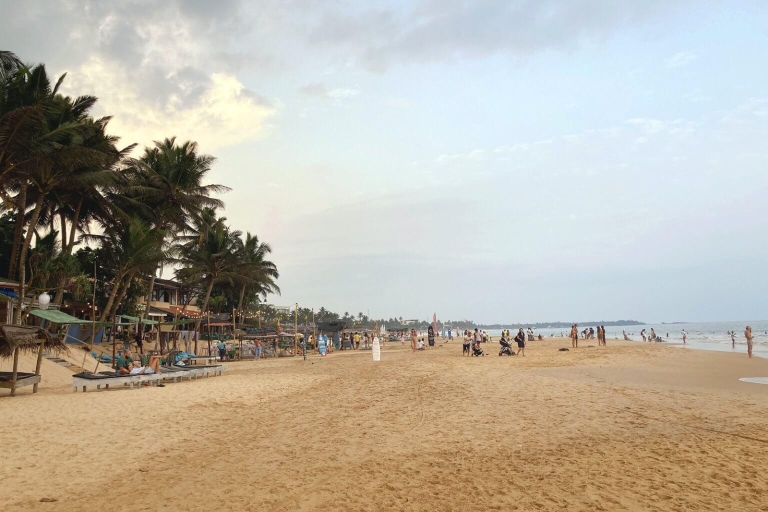 Au départ de Colombo : Excursion d'une journée à Bentota et excursion à la plage de Hikkaduwa