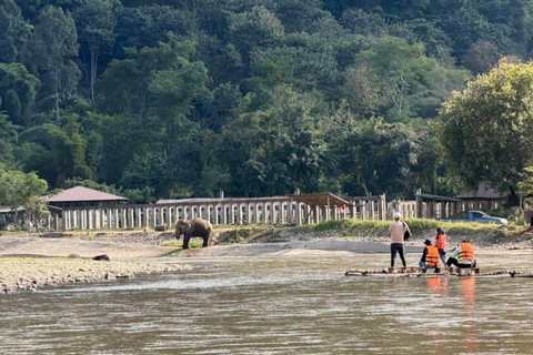 Chiang Mai: Sticky Waterfall, Bamboo Rafting, & Lunch