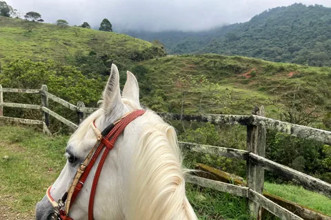 Passeios a cavalo: Explore a zona rural próxima a Medellín