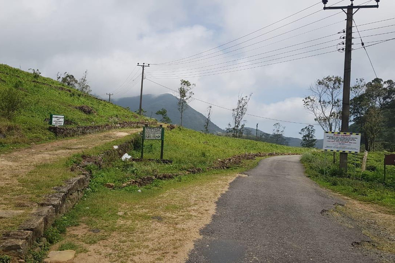 纳克尔斯峰探险和希洛亚村露营 2 日游