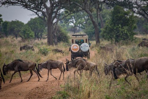 Tanzania: 7-dniowa migracja antylop gnu Serengeti (lipiec-październik)